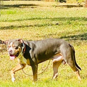 Meet your Posher, Jamie